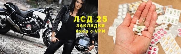 стафф Белокуриха