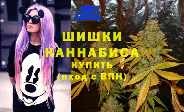 стафф Белокуриха